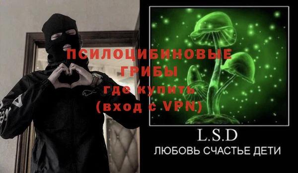 ПСИЛОЦИБИНОВЫЕ ГРИБЫ Краснослободск
