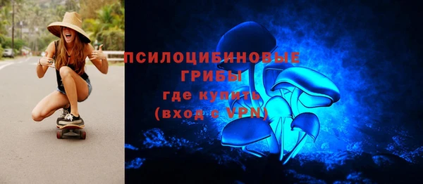 ПСИЛОЦИБИНОВЫЕ ГРИБЫ Краснослободск