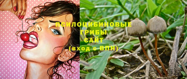 дживик Куйбышев