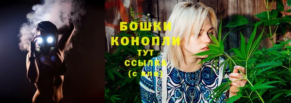 ПСИЛОЦИБИНОВЫЕ ГРИБЫ Краснослободск