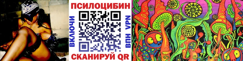 Купить  Венёв  Псилоцибиновые грибы MAGIC MUSHROOMS 